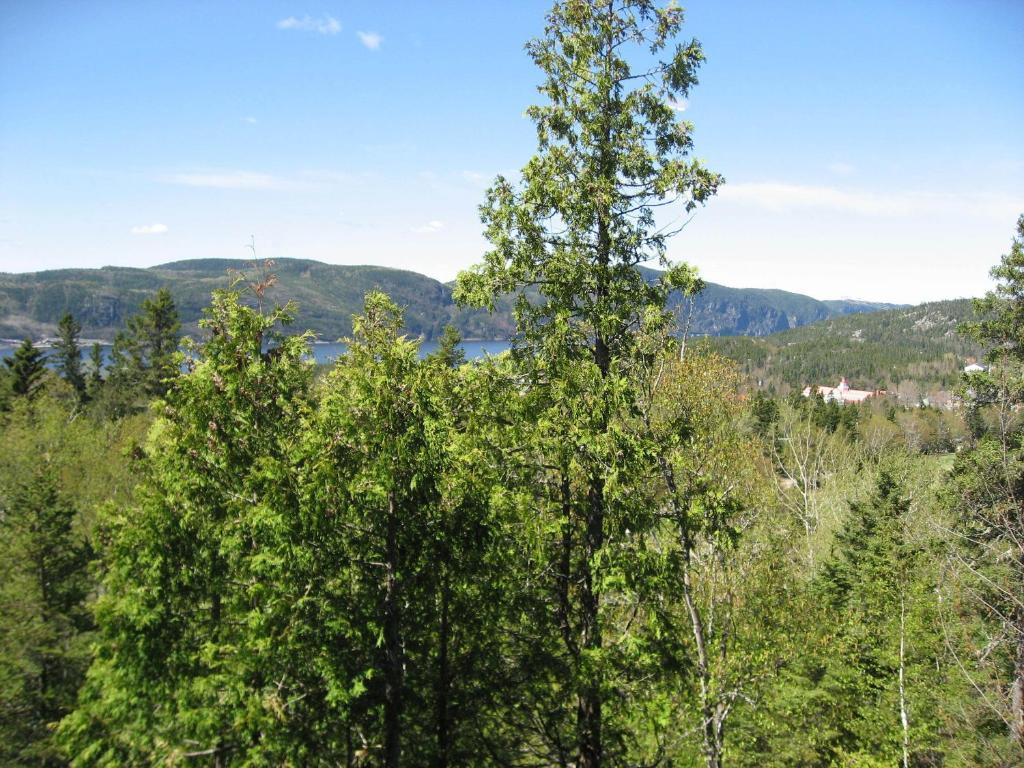 Chalet De La Montagne Villa Tadoussac Exterior foto
